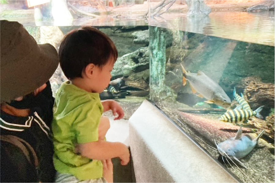 水族館で魚を鑑賞する母子