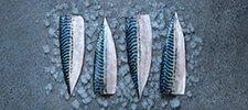 Hokuto Saba