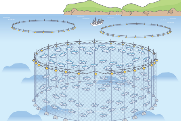 aquaculture