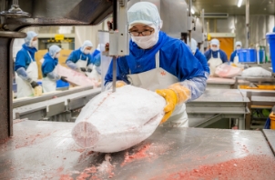 Special processing plant for tuna