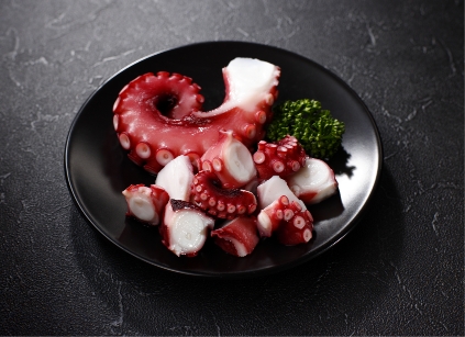 octopus