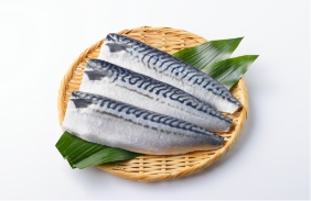 mackerel