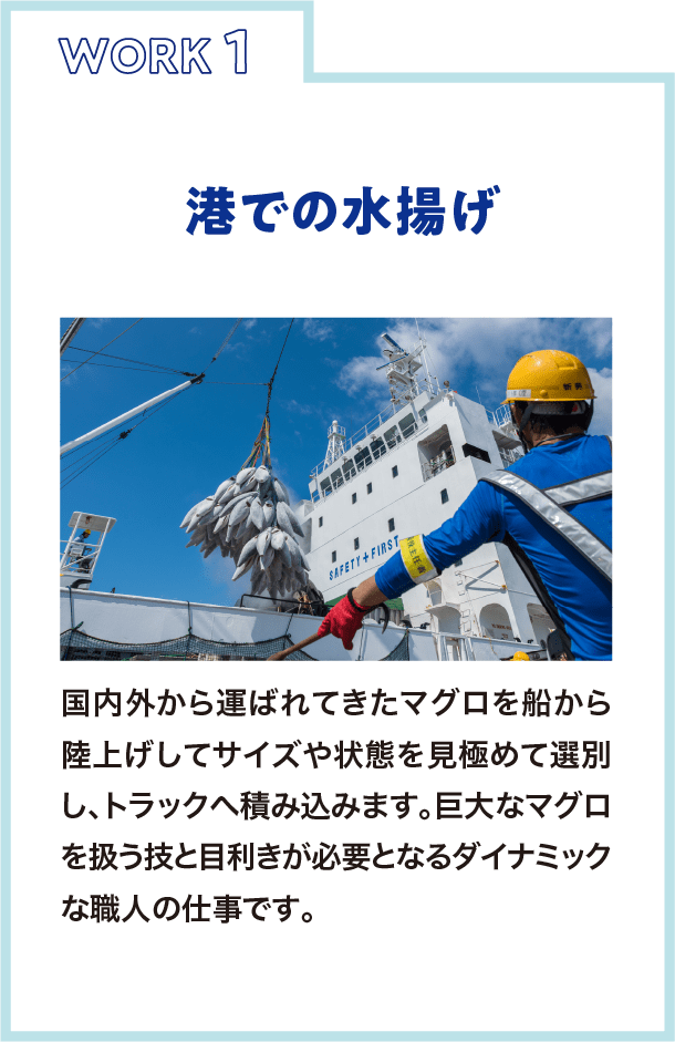 港での水揚げ