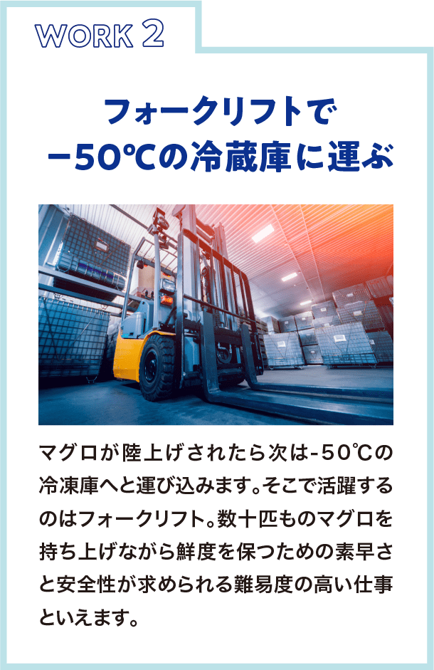 フォークリフトで−60度の冷蔵庫に運ぶ